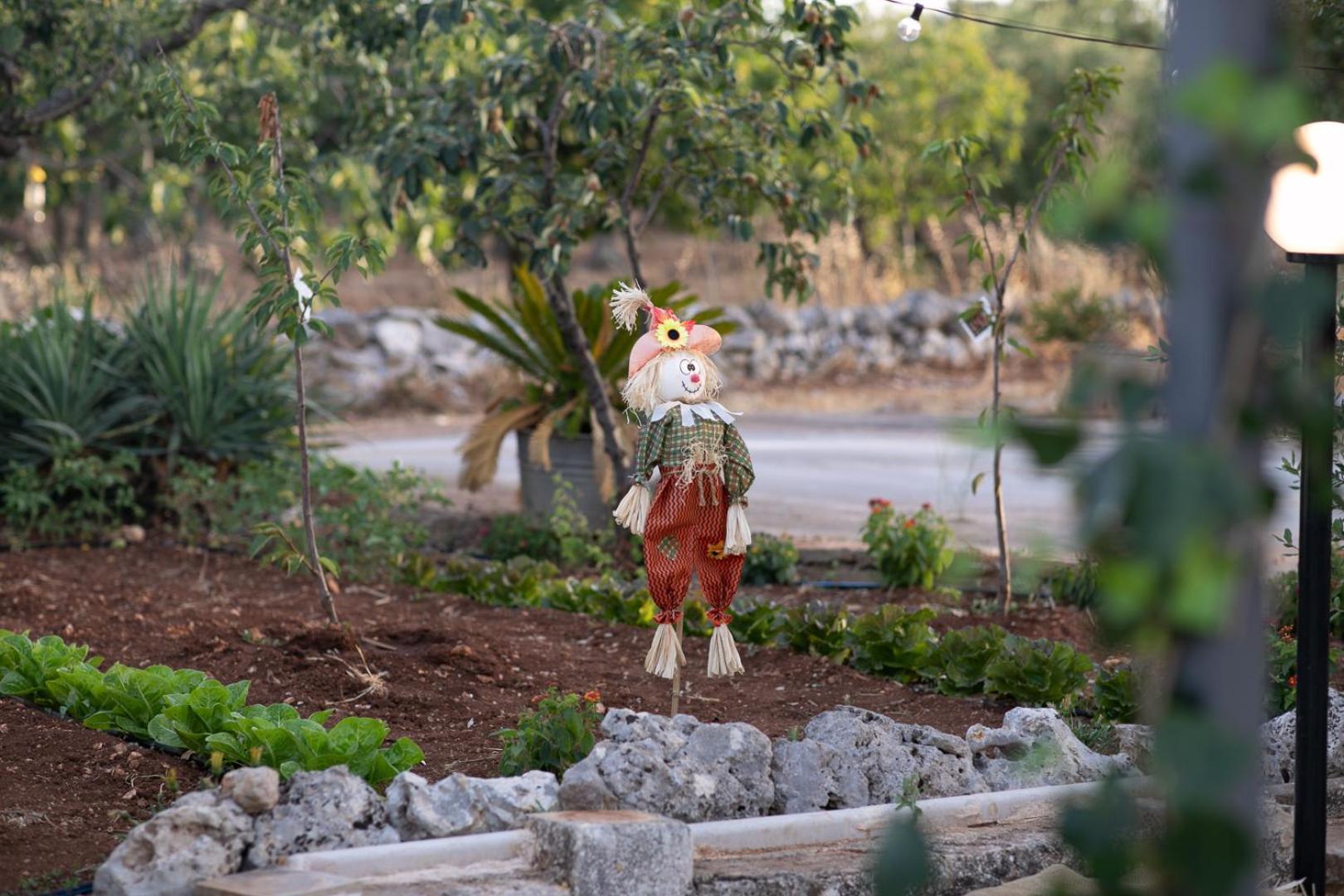 Trulli Arborea Alberobello Exterior photo